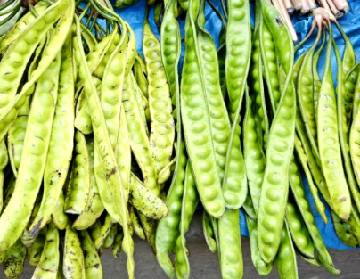 Yongchak /Stink Beans